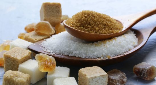 11 types of sugar the bailiwick academy