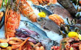 what is a dampa the bailiwick academy