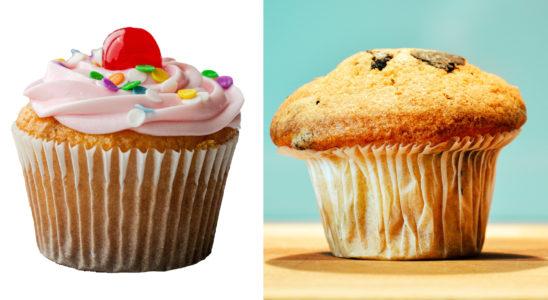 difference of cupcake and muffin the bailiwick academy