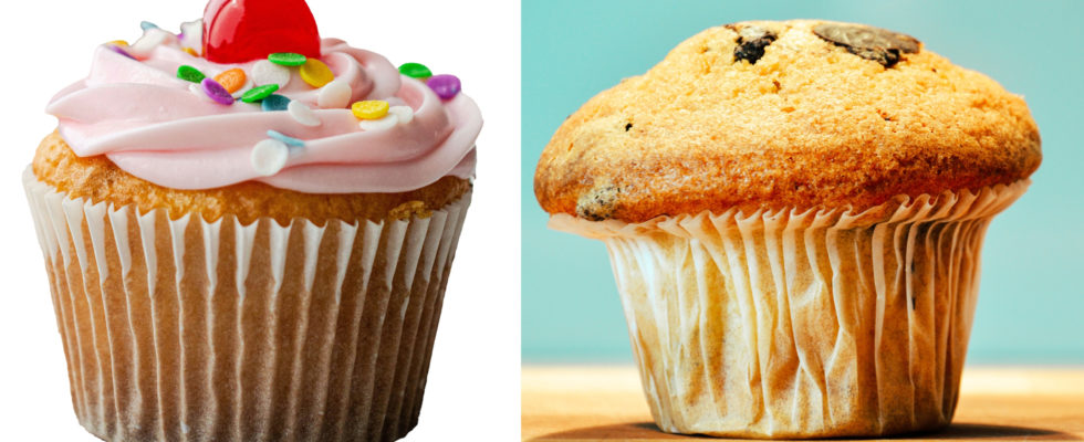 difference of cupcake and muffin the bailiwick academy