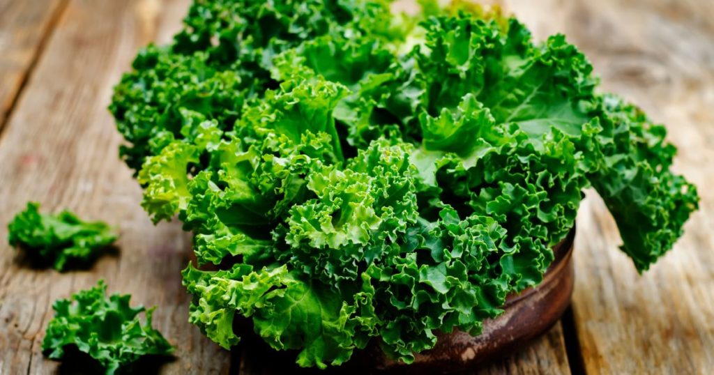 kale What Vegetables Are On The Keto Diet the bailiwick academy 