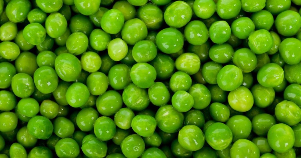 peas the bailiwick academy